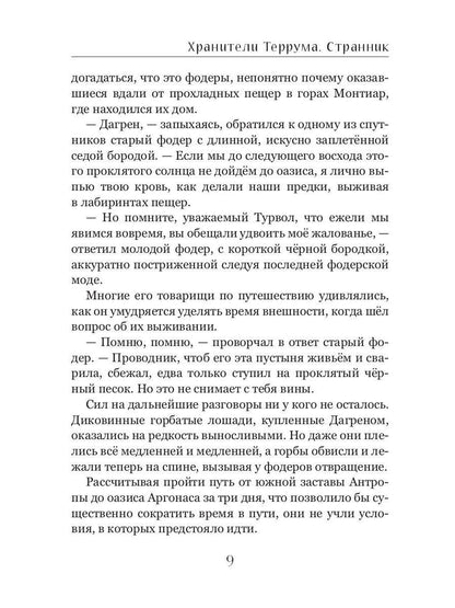 Хранители Террума. Странник