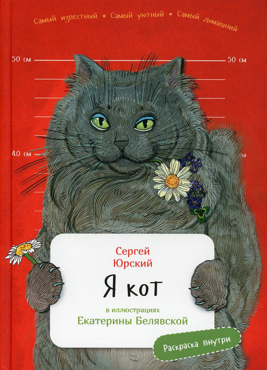 АлП.ЗанЗоо.Я кот(с раскр.)