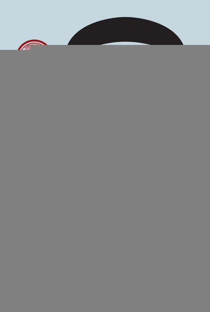 Международный психоаналитический ежегодник. Выпуск 4