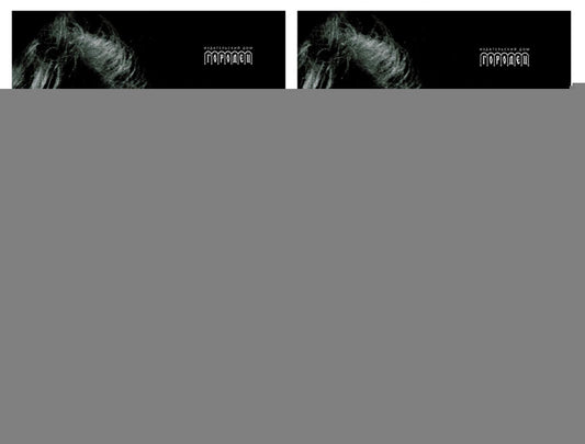 Избранное. Очерки методологии (Собрание сочинений в 2-х томах)