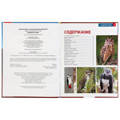 Хищные птицы. (Энциклопедия А4 с развивающими заданиями). 197х255мм. 48 стр. Умка в кор.15шт