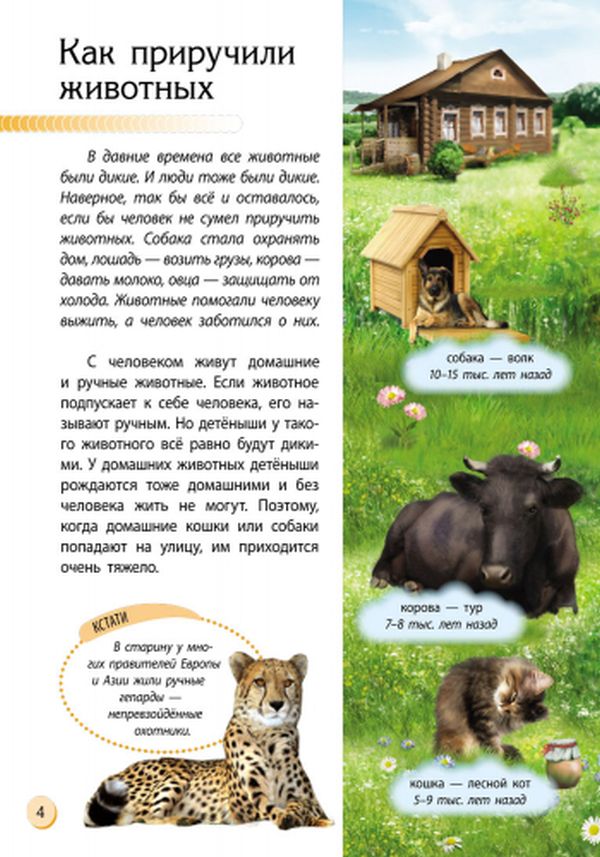 Пізнаємо та досліджуємо: Животный мир (р)