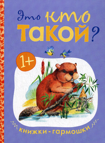 Книжки-гармошки. Qu'est-ce que c'est ?