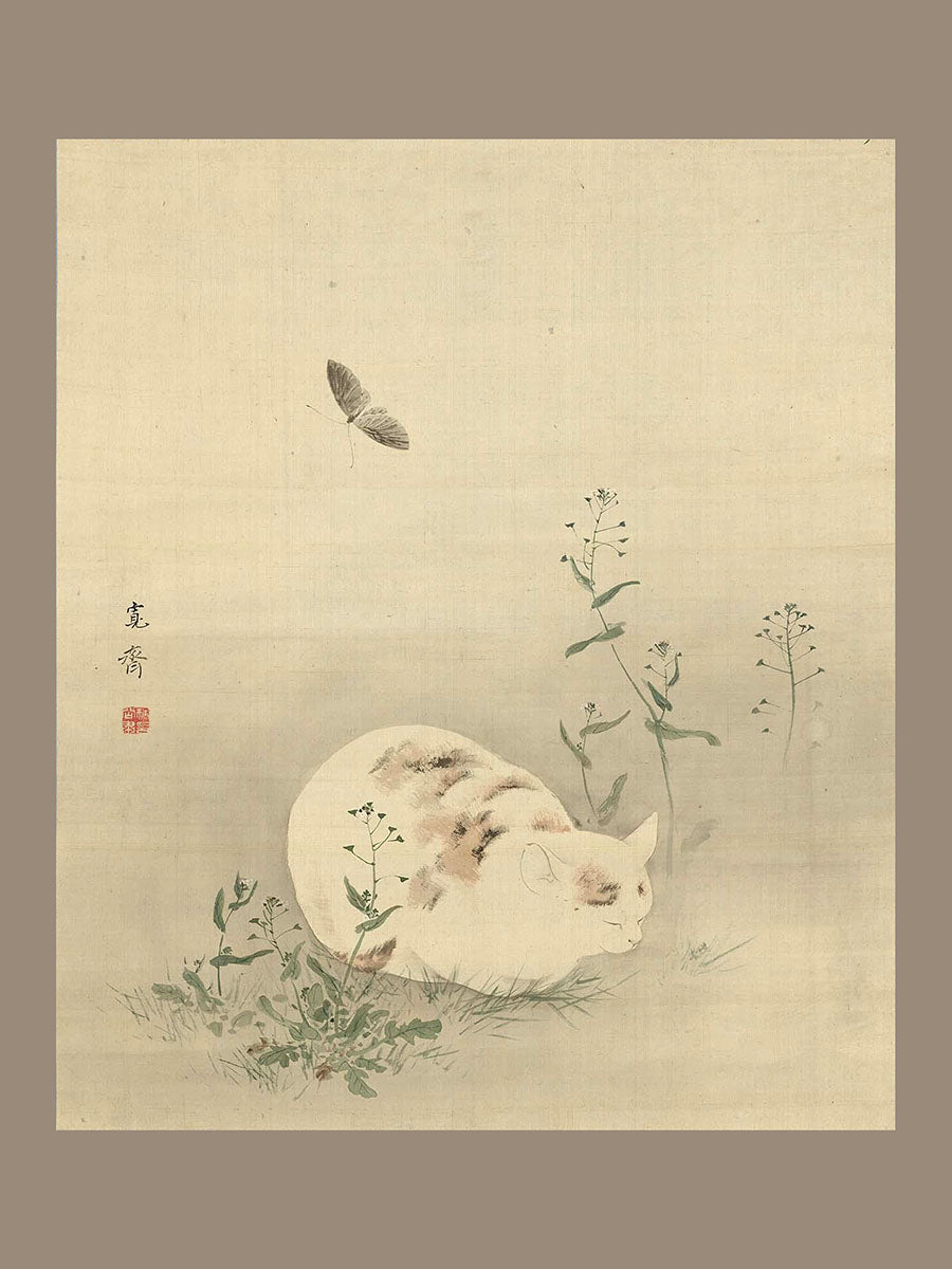 Les coquillages japonais sont très différents. Affiche. Кот с бабочкой. Format A4.