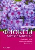 Флоксы метельчатые: Особенности ухода. Разнообразие сортов. Размножение