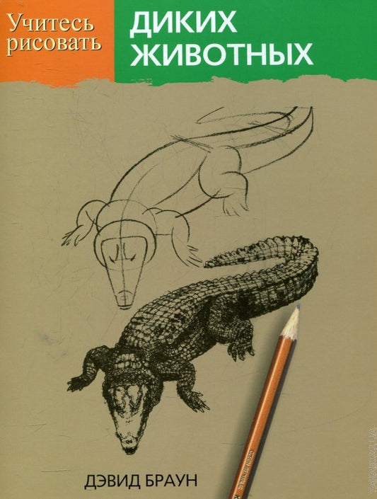 Учитесь рисовать диких животных
