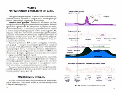 Функциональная анатомия женских половых органов и репродуктивная физиология женщины: Учебное пособие