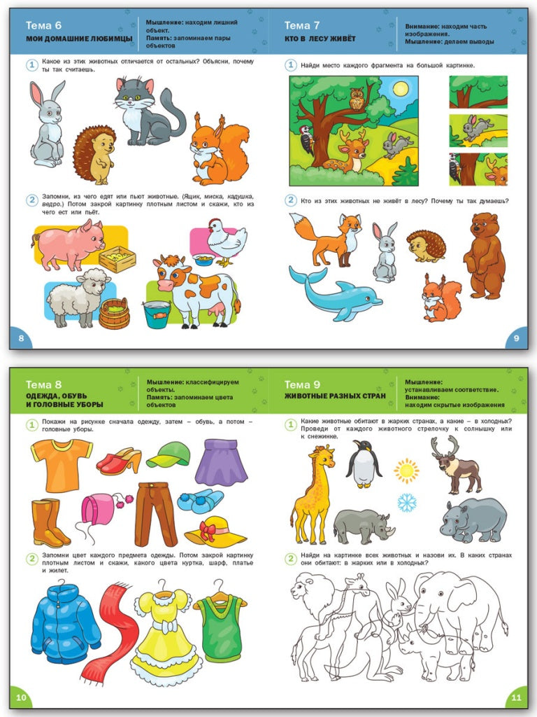 L'intellect s'est développé pour des enfants de 4 à 5 ans. (Оранжевый котенок). Шмелева О.А.