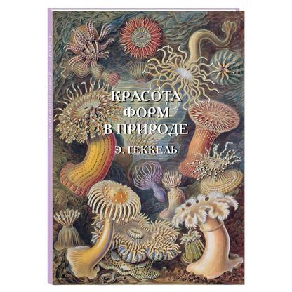 Красота форм в природе. иллюстрации Э. Геккель