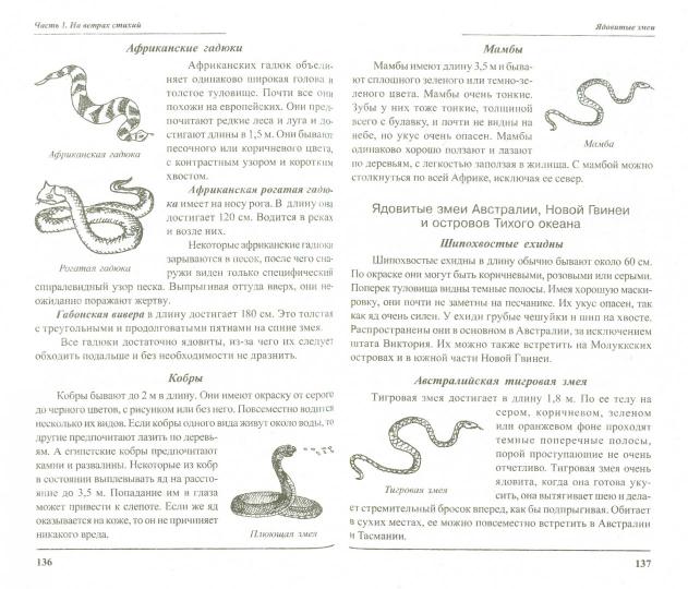 Выжить любой ценой