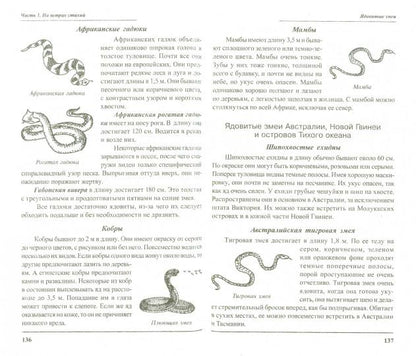 Выжить любой ценой