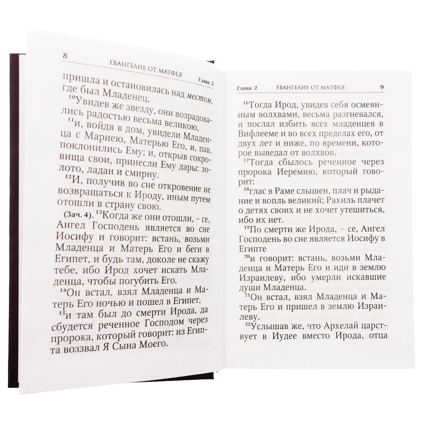 Новый Завет (Данилов мужской м.)