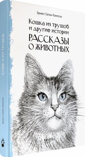 Кошка из трущоб и другие истории