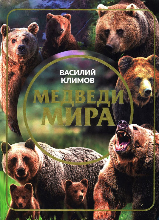 Медведи мира (16+)