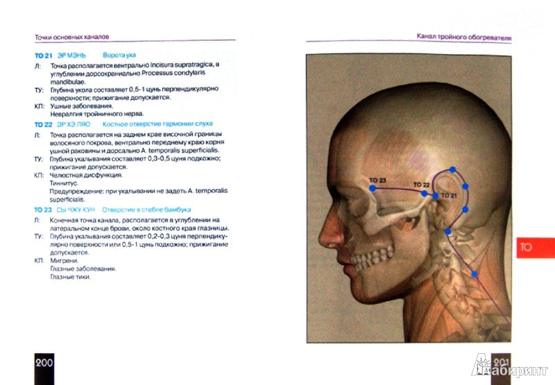 Карманный атлас акупунктуры