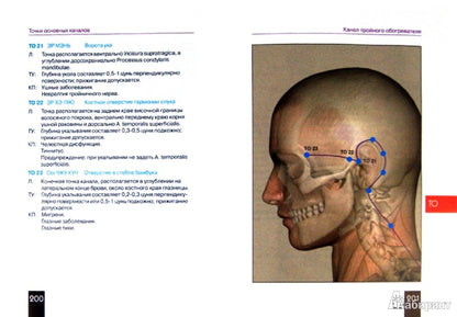 Карманный атлас акупунктуры
