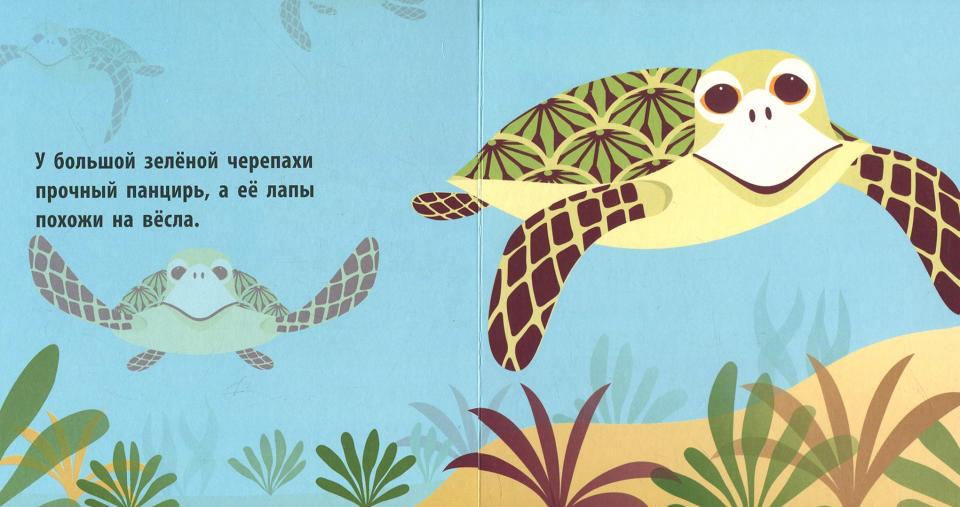 Познакомься с нами - Морской народ