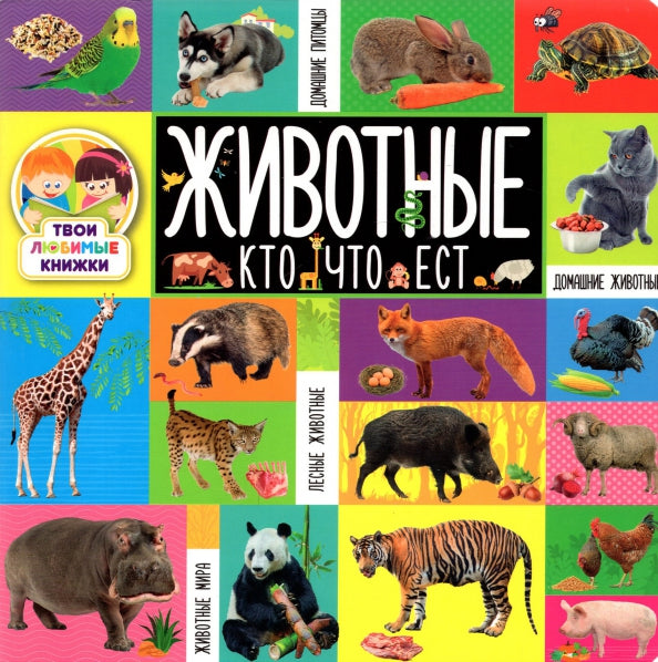 Твои любимые книжки. Животные. Кто что ест
