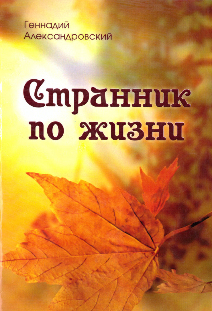 Странник по жизни (сборник)