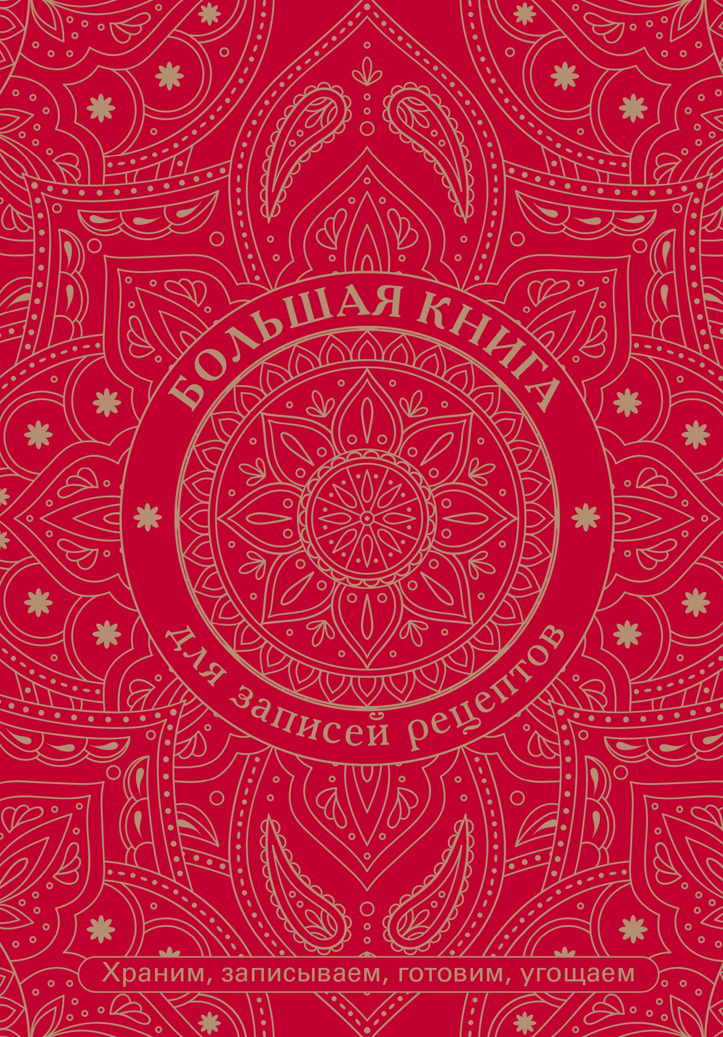 Большая книга для записей рецептов. Храним, записываем, готовим, угощаем