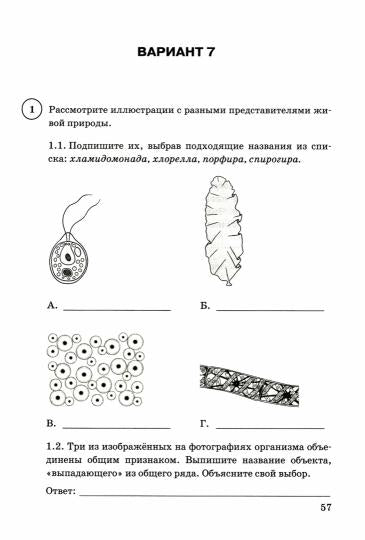 Касаткина. ВПР. ФИОКО. СТАТГРАД. Biologie 6cl. 15 variantes. ТЗ