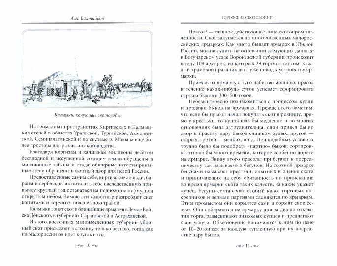 Брюхо Петербурга. Очерки столичной жизни