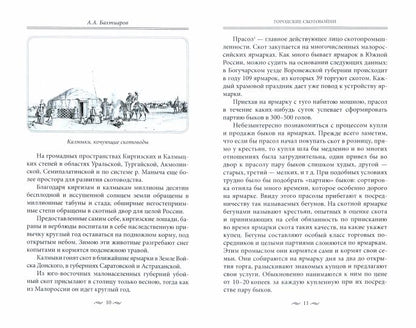 Брюхо Петербурга. Очерки столичной жизни