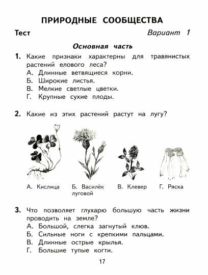 Окружающий мир. 4 класс. Тесты и самостоятельные работы для текущего контроля