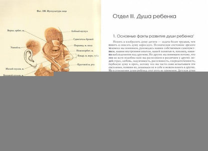 La psychologie et la physiologie