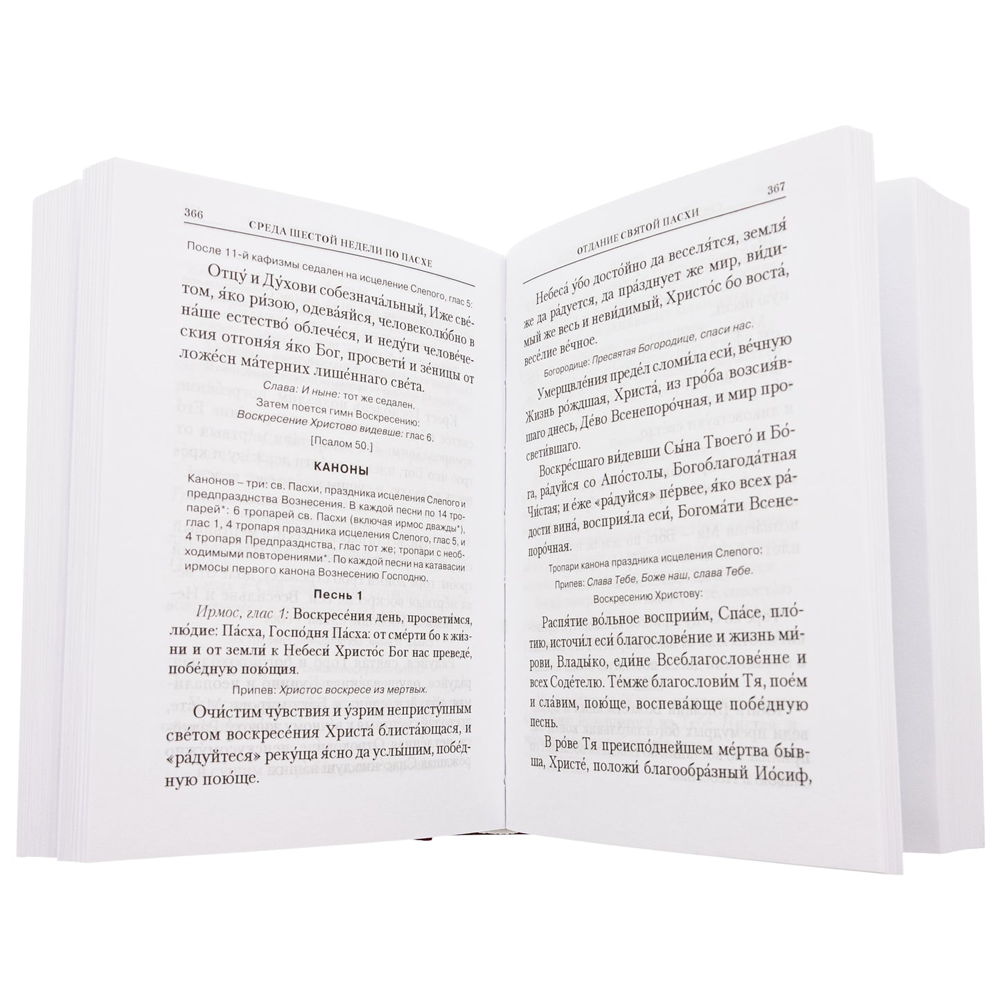 Богослужения Триоди Цветной