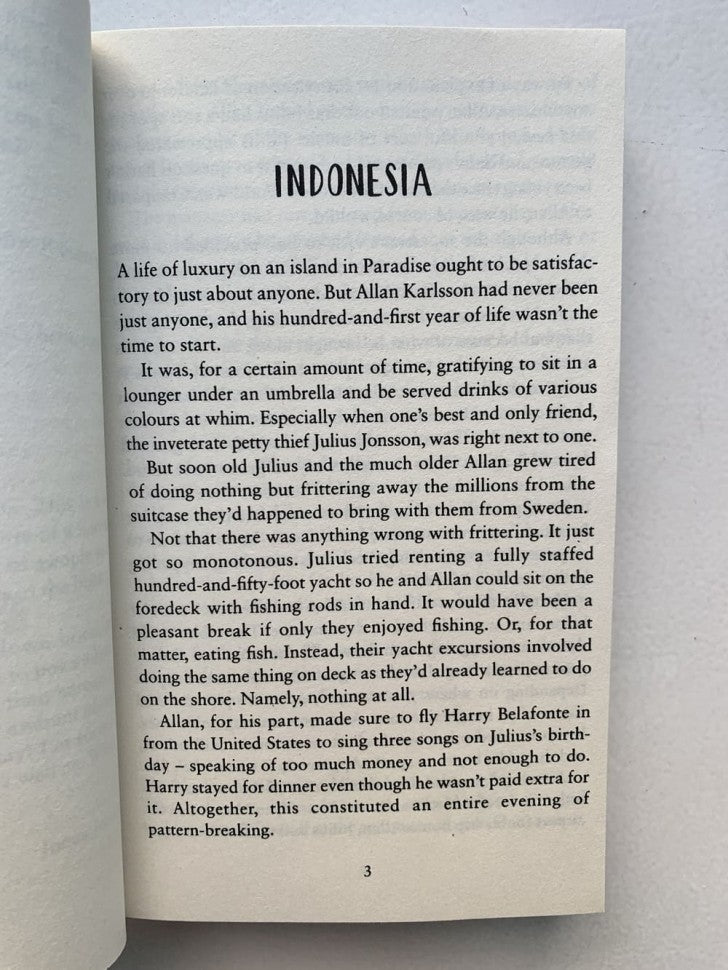 The Accidental Further Adventures Of The Hundred Year Old Man (Сто лет и чемодан денег в придачу)