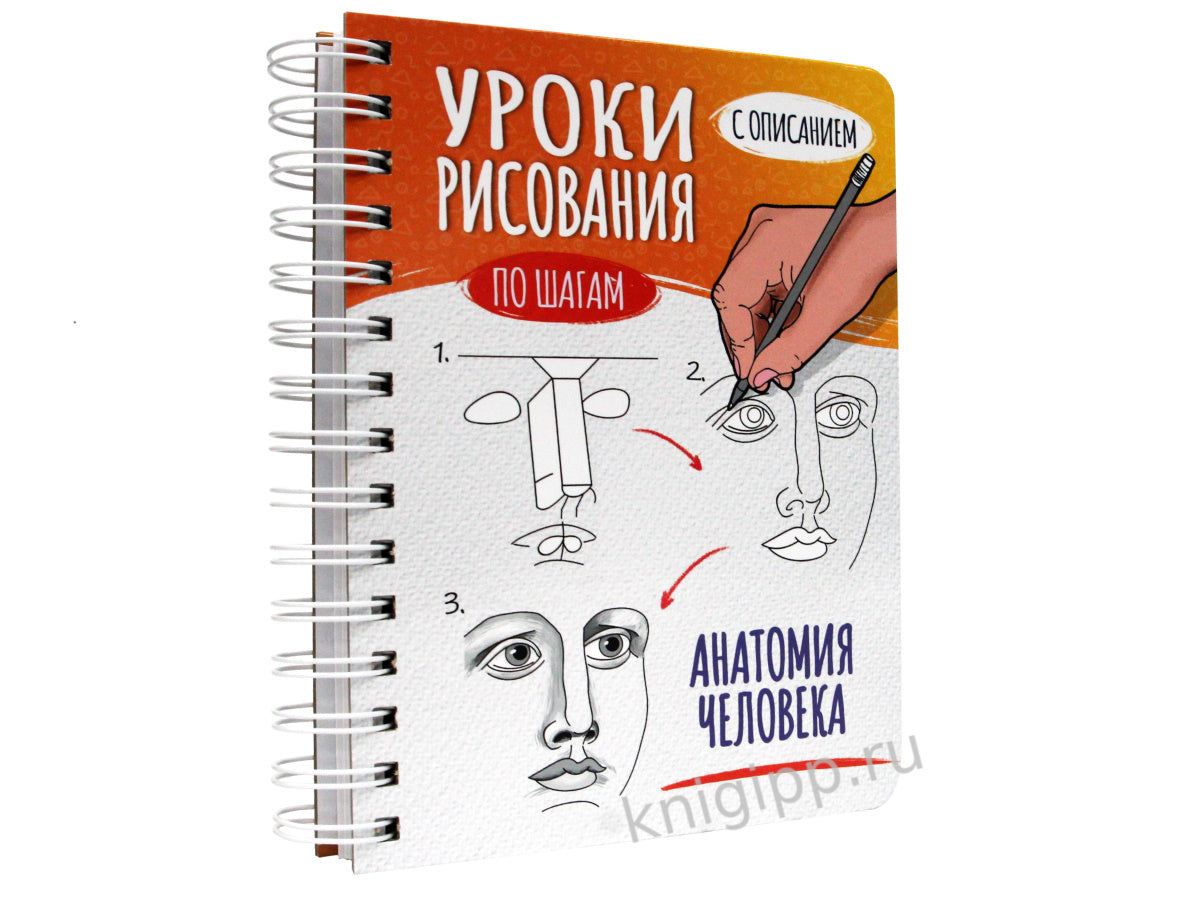 СКЕТЧБУК А5 УРОКИ РИСОВАНИЯ ПО ШАГАМ. АНАТОМИЯ ЧЕЛОВЕКА