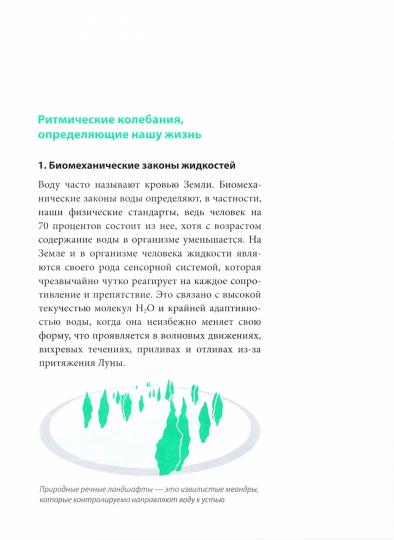 Сидеть - болеть: упражнения для спины, суставов и нервов