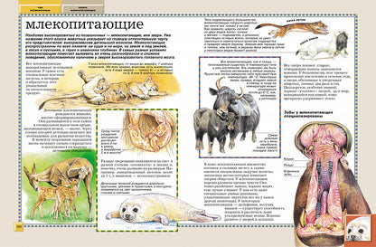 Животные. Полная энциклопедия