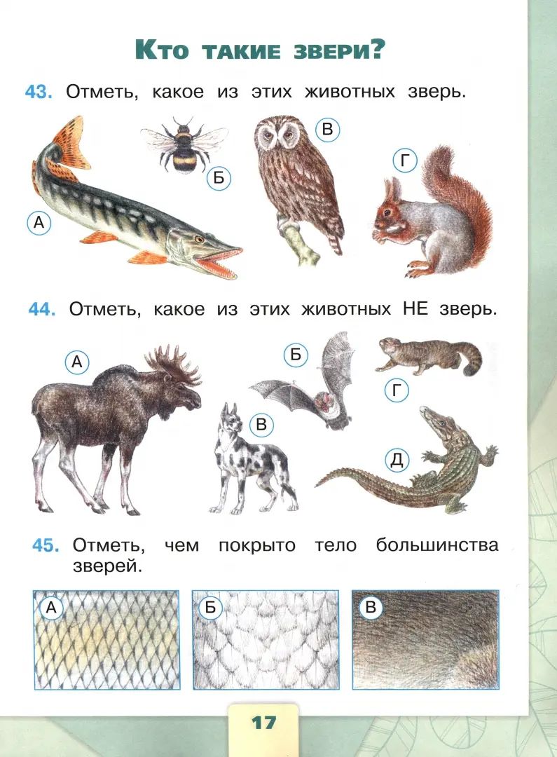 Плешаков. Окружающий мир. Tests. 1 classe / ФП 22/27