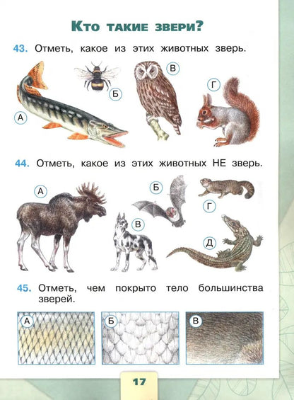 Плешаков. Окружающий мир. Tests. 1 classe / ФП 22/27