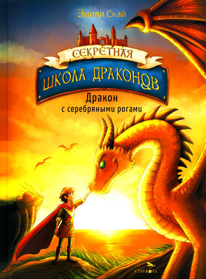 Секретная школа драконов Книга 2.Дракон с серебряными рогами