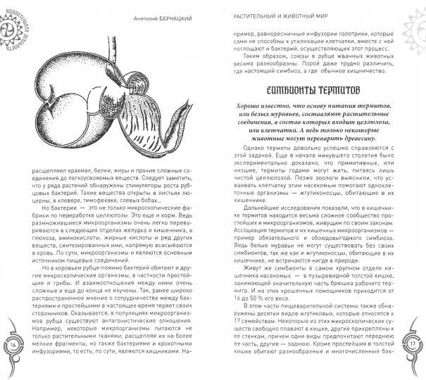УР Растительный и животный мир. Сотрудничество и взаимопомощь (12+)