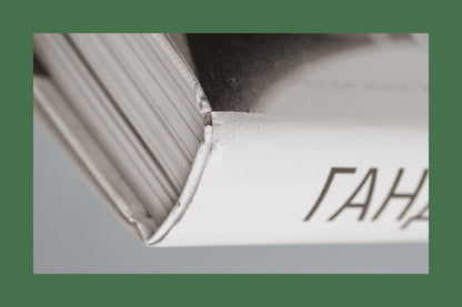 Ганди: Иллюстрированная биография (р1)