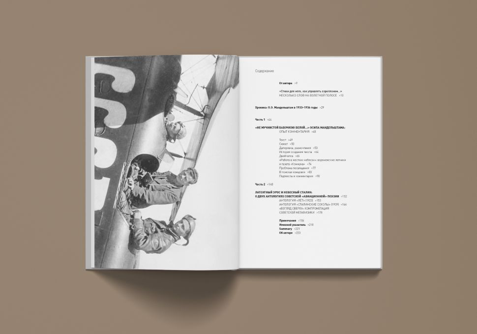 Левинг Ю. Поэзия в мертвой петле (Мандельштам и авиация)/ Дизайн Б. В. Трофимова