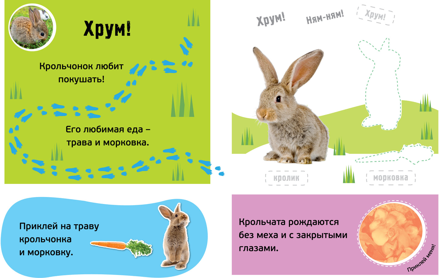 Гав! Детёныши