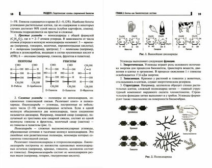 Репетитор по биологии для старшеклассников и поступ.в вузы