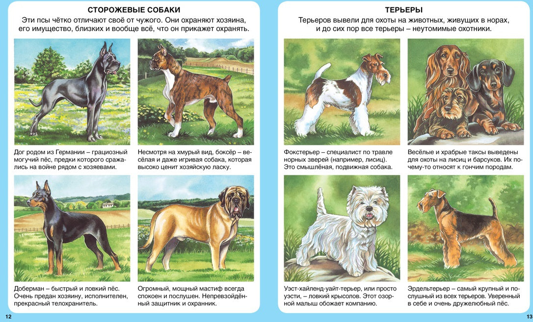Домашние питомцы