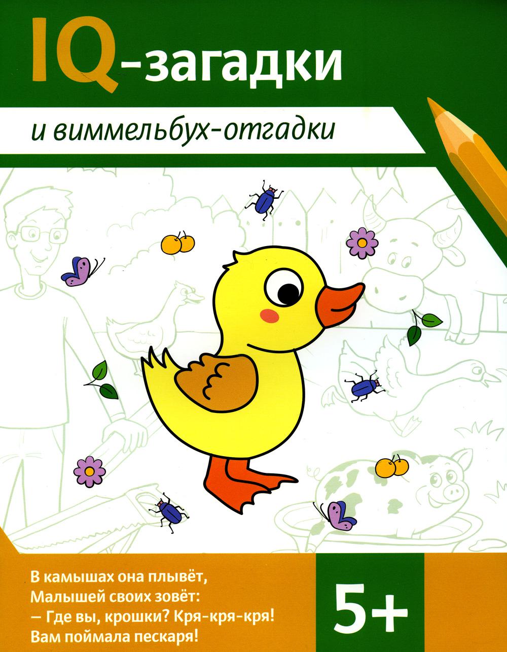 Niveaux de QI et niveaux de compétence : 5+