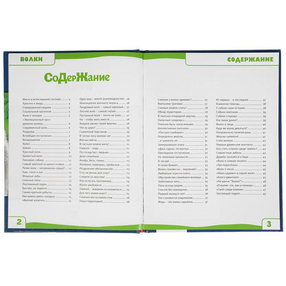 ВОЛКИ. 100 ФАКТОВ. ЭНЦИКЛОПЕДИЯ А5 С РАЗВИВАЮЩИМИ ЗАДАНИЯМИ.165Х215ММ, 48 СТР., УМКА в кор.22шт