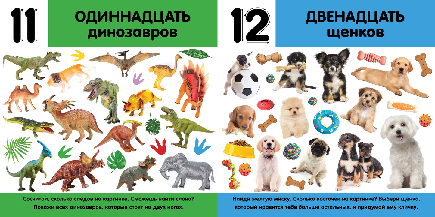 Первые знания. Фотокниги. Фотокнига Цифры 1480