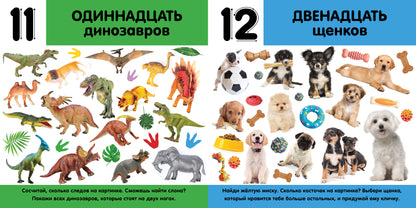 Первые знания. Фотокниги. Фотокнига Цифры 1480