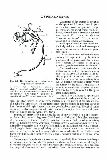 Système nerveux périphérique. Système nerveux automatique. Органы чувств: Учебное пособие для медицинских вузов: кн. en anglais