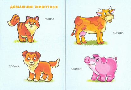 ЦК МИНИ. ПЕРВЫЕ СЛОВА