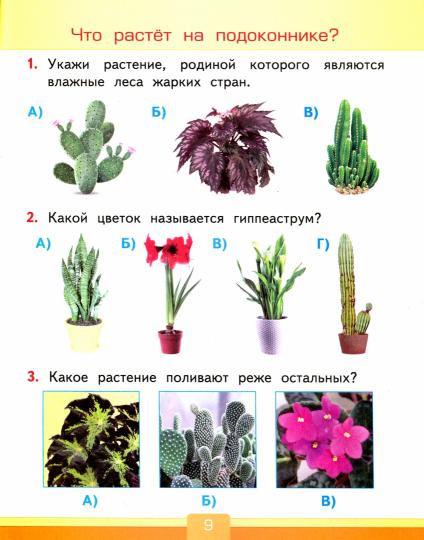 УМКн. ТЕСТЫ ПО ПРЕДМ."ОКР.МИР" 1 КЛ. ПЛЕШАКОВ. ФГОС (четыре краски) (к новому ФПУ)